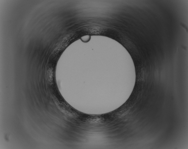 X0000103260646200809261140