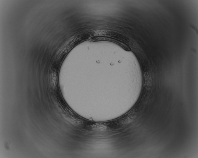 X0000103260648200809261140