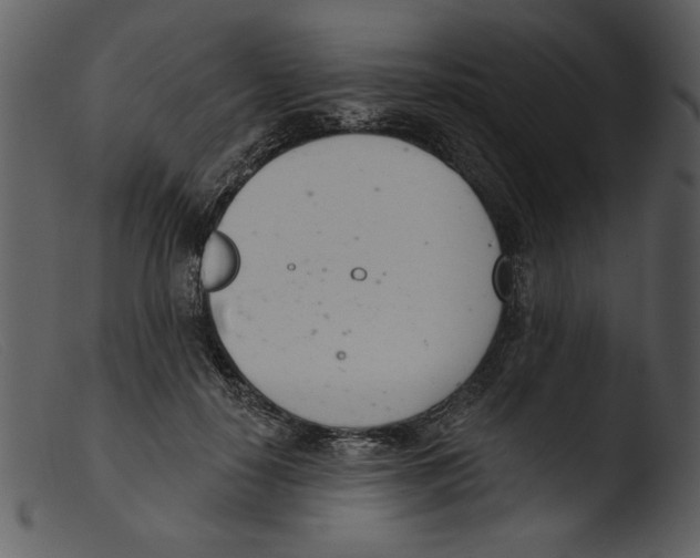 X0000103260650200809261140