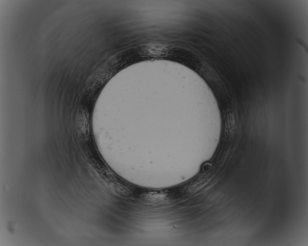 X0000103260651200809261140