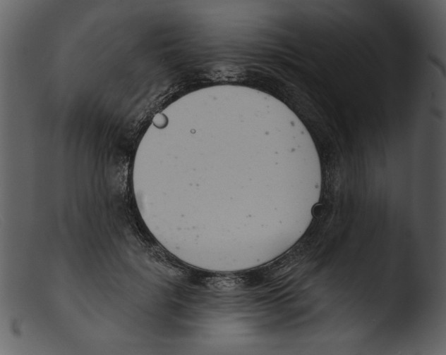 X0000103260652200809261140