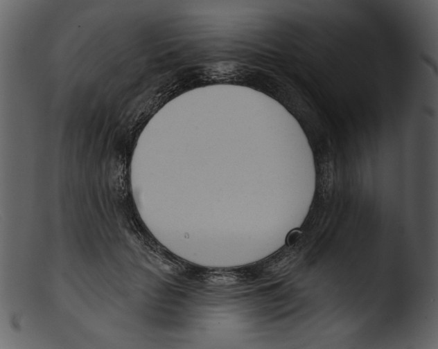 X0000103260653200809261140