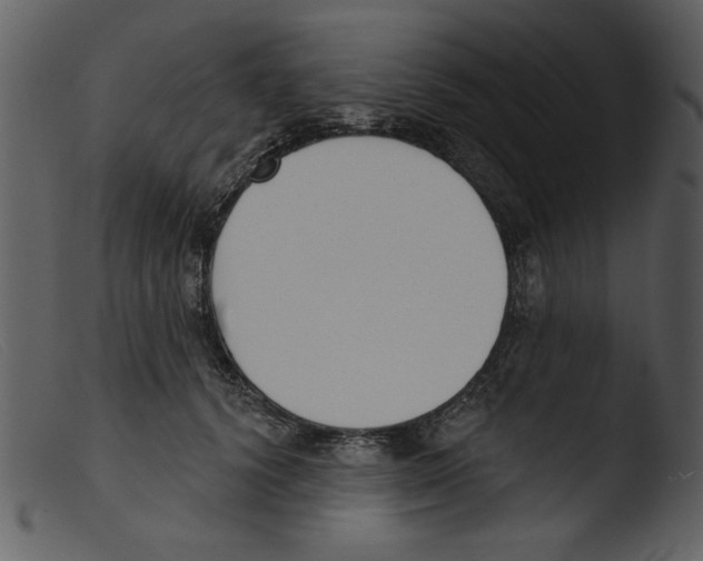 X0000103260656200809261140