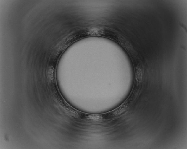 X0000103260659200809261140