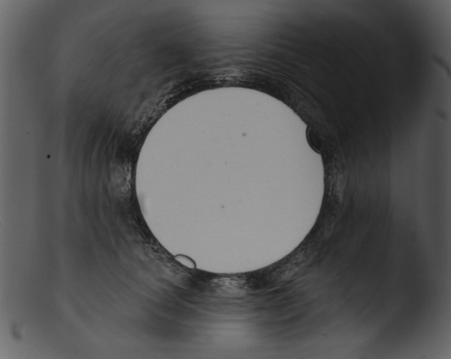 X0000103260660200809261140