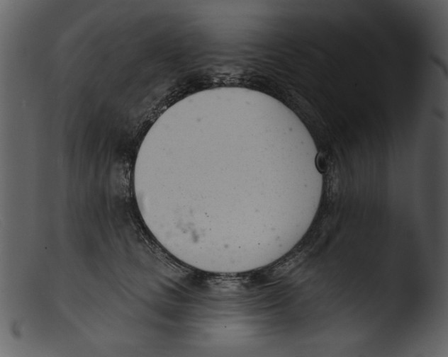 X0000103260661200809261140