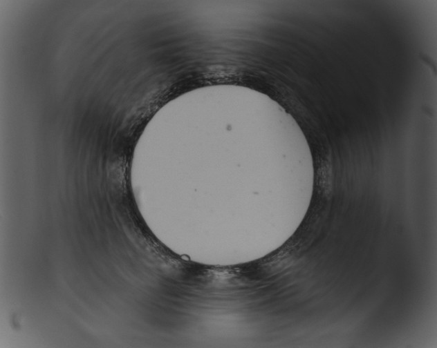 X0000103260662200809261140