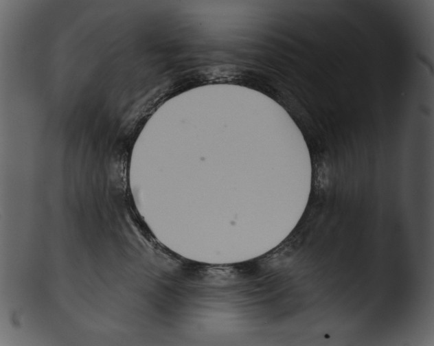 X0000103260666200809261140