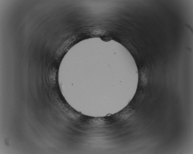 X0000103260668200809261140