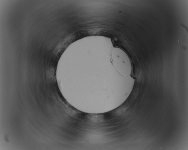 X0000103260670200809261140