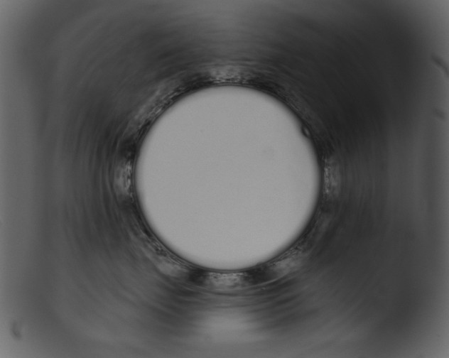 X0000103260671200809261140