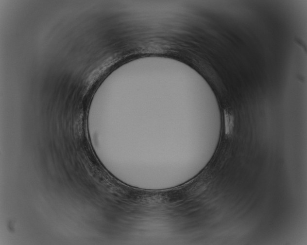 X0000103260675200809261139