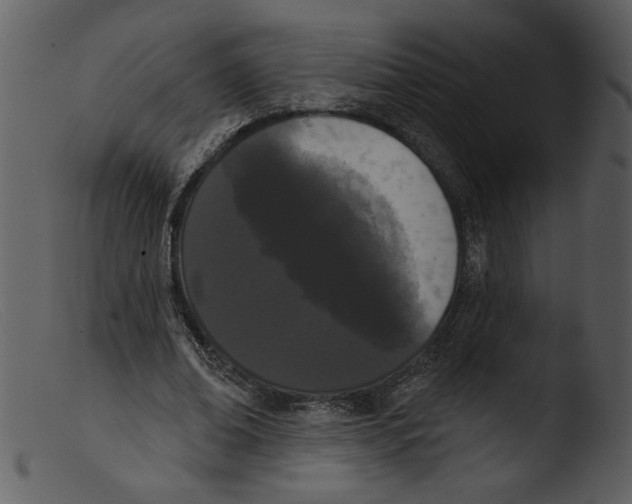 X0000103260678200809261139