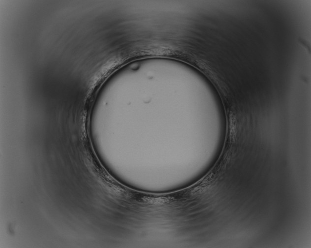 X0000103260679200809261139