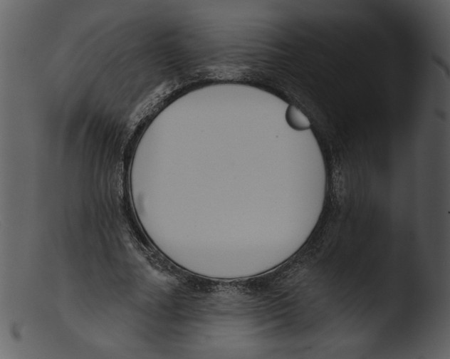 X0000103260682200809261139