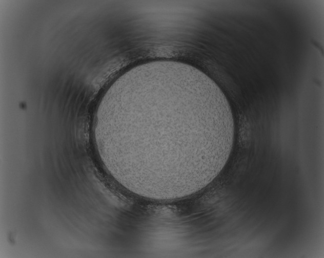 X0000103260683200809261139