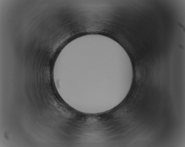 X0000103260684200809261139