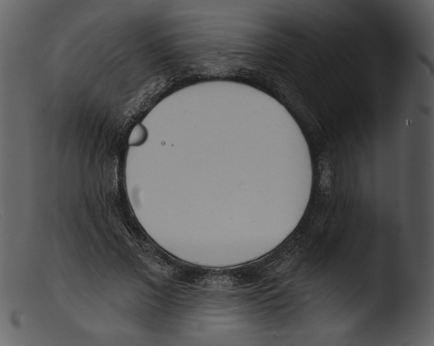 X0000103260685200809261139