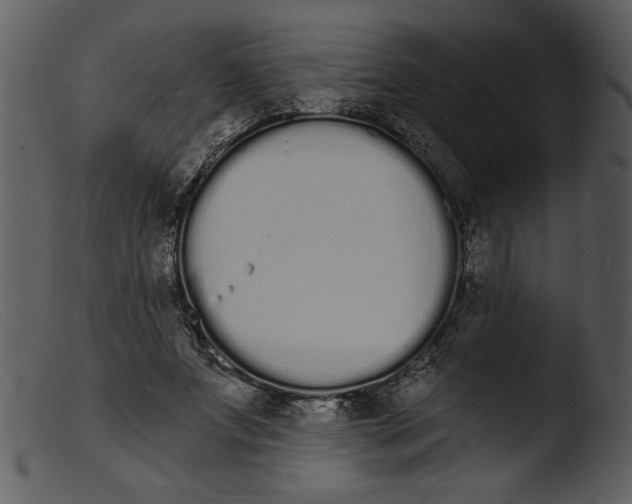 X0000103260687200809261139