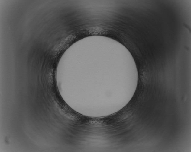 X0000103260690200809261139