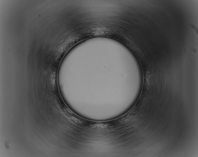 X0000103260691200809261139