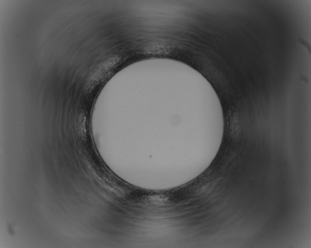 X0000103260692200809261139