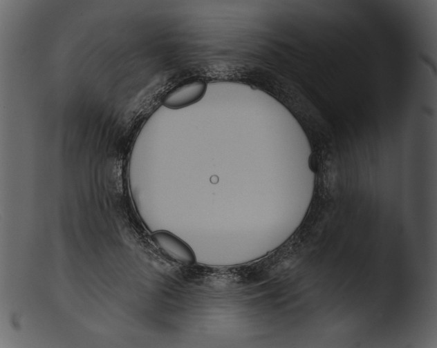 X0000103260696200809261139