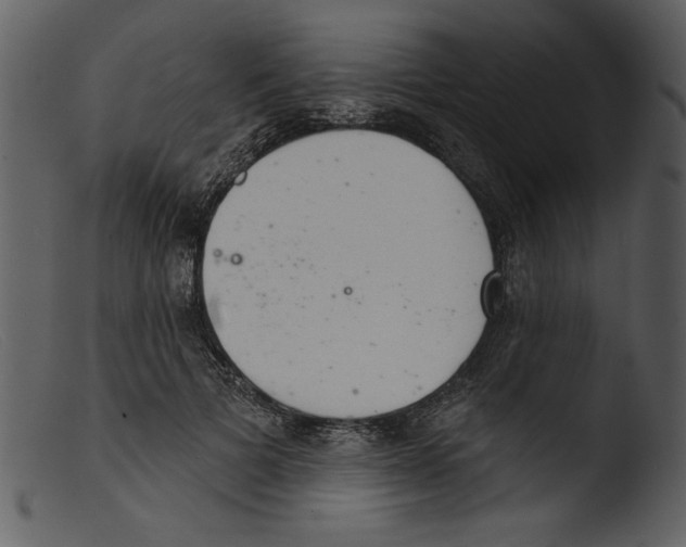 X0000103260697200809261139