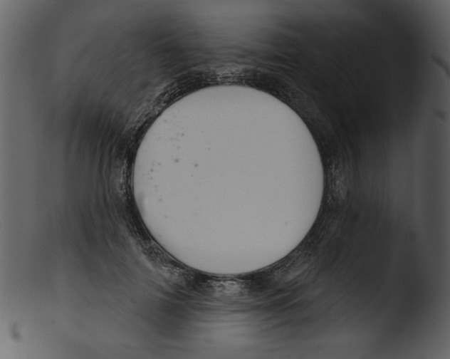 X0000103260698200809261139