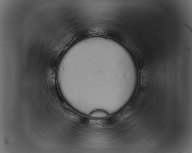 X0000103260699200809261139