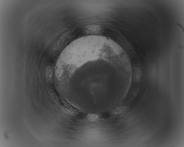 X0000103260701200809261139