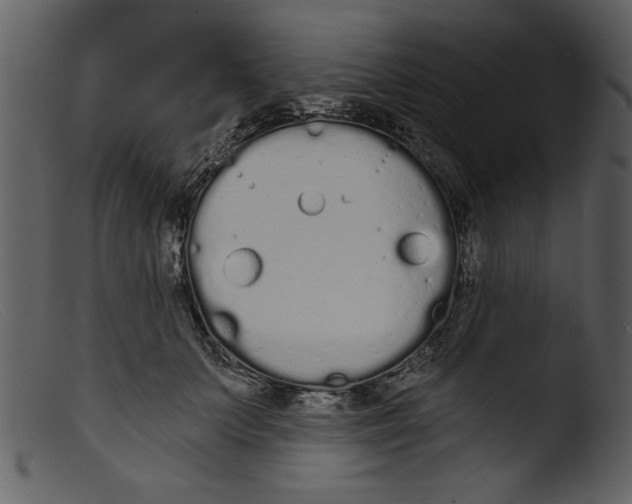 X0000103260703200809261139