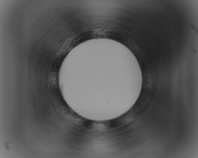 X0000103260706200809261139