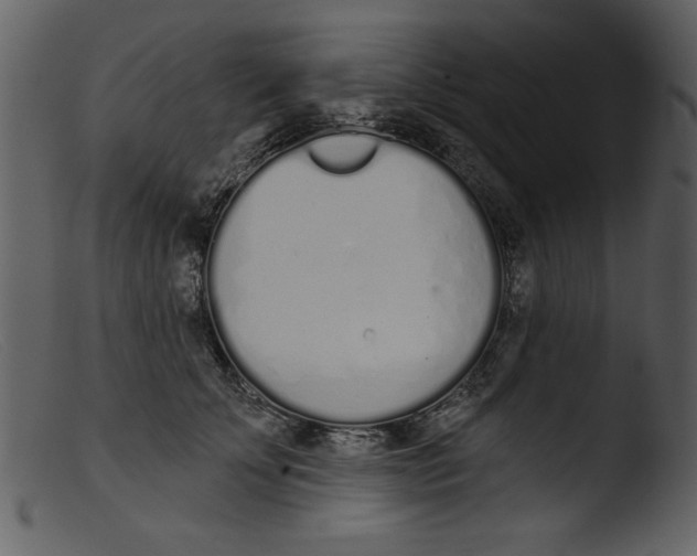 X0000103260707200809261139