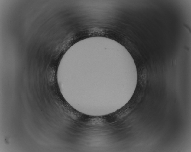 X0000103260708200809261139