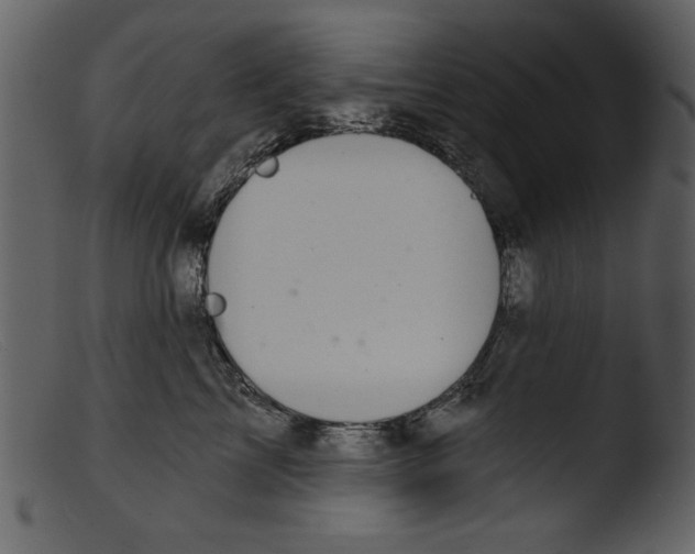 X0000103260713200809261139