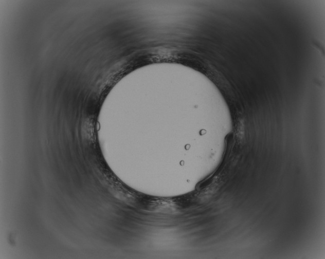 X0000103260715200809261139