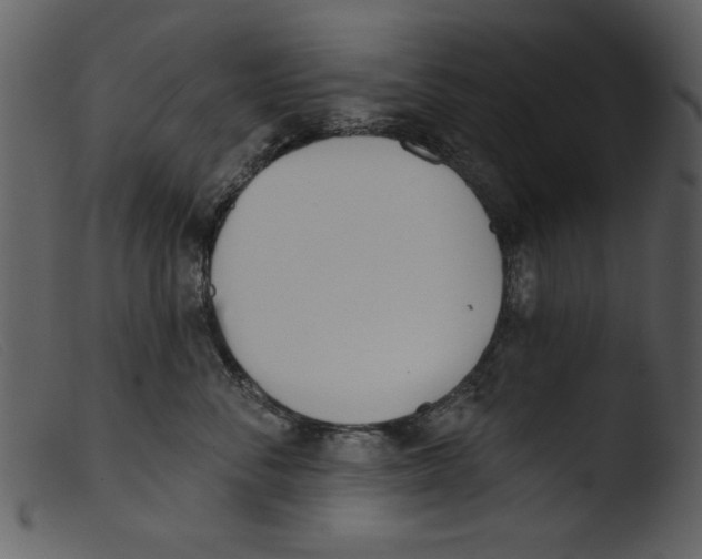 X0000103260716200809261139