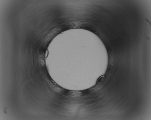 X0000103260719200809261139