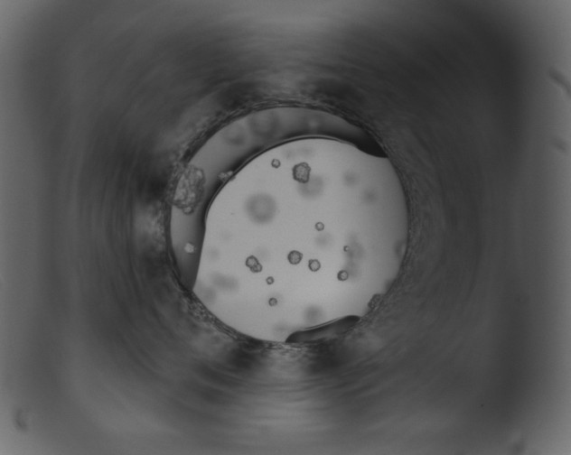 X0000103260720200809261139