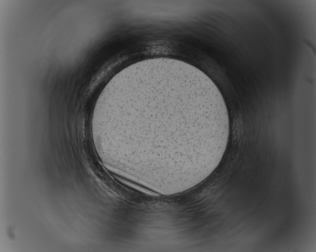 X0000103260722200809261138