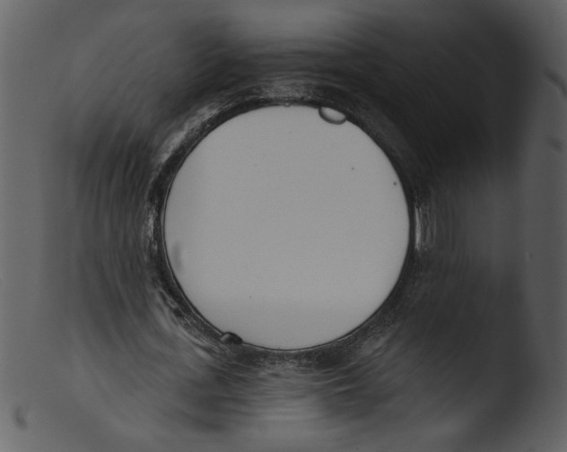 X0000103260723200809261138