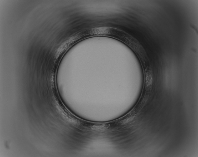 X0000103260725200809261138