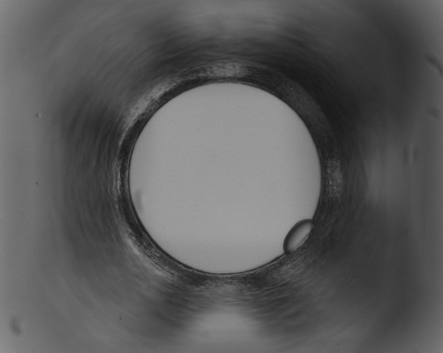 X0000103260726200809261138