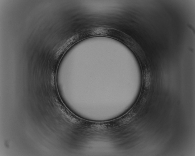 X0000103260729200809261138