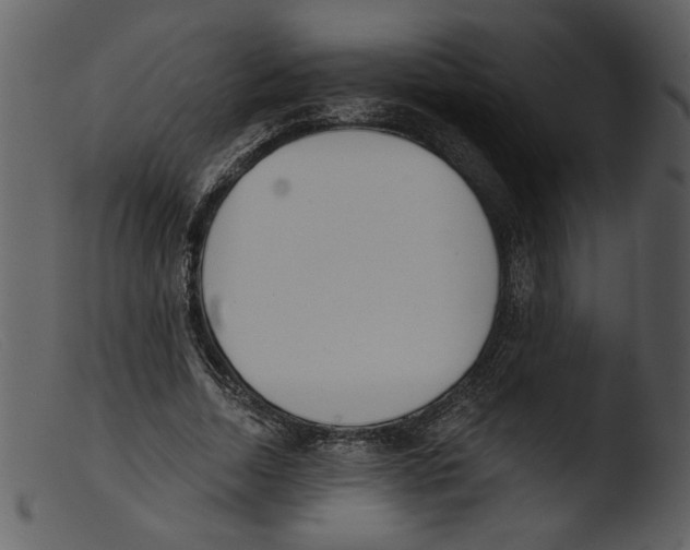 X0000103260730200809261138