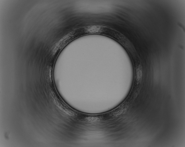 X0000103260733200809261138