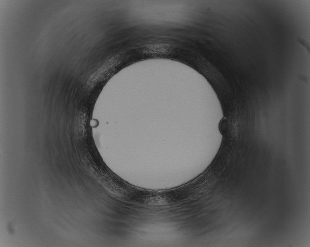 X0000103260735200809261138