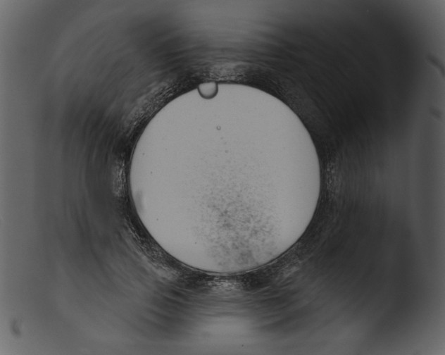 X0000103260741200809261138