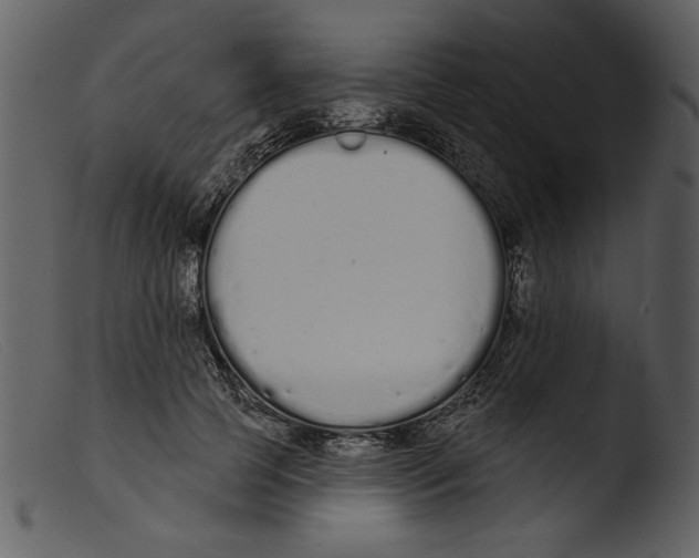 X0000103260745200809261138